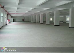 深圳建材市場與西麗工廠裝修 融合獨特創意與專業建材，打造卓越工業空間